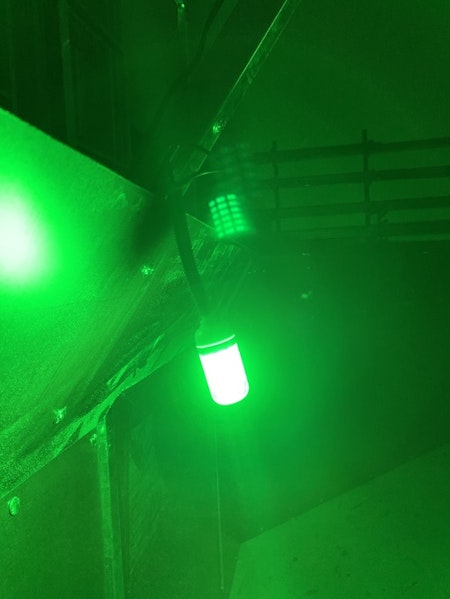 Grön Lampa - Fällan blir upplyst när den slår igen.