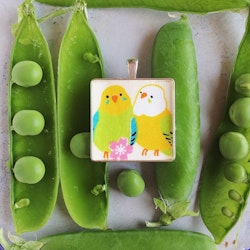 Aunties with budgies