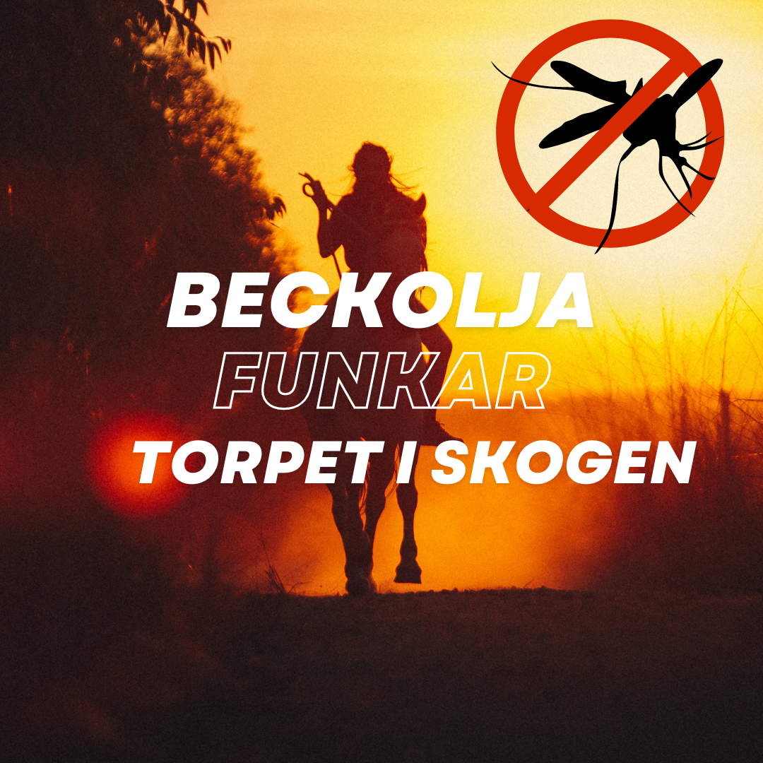 Beckolja-Hästar blanda ut till  4 liter spray fri frakt