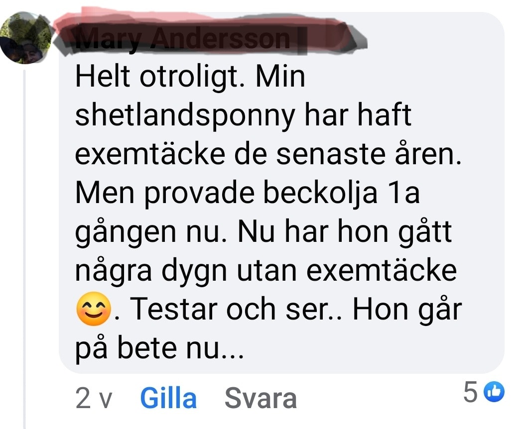 Beckolja-Hästar blanda ut till  4 liter spray fri frakt