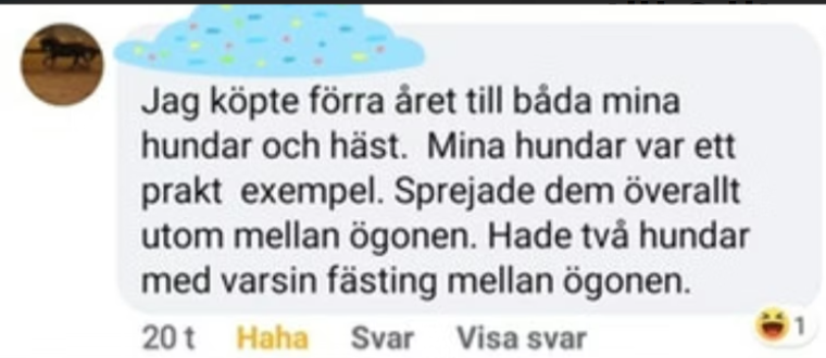 Beckolja-Hästar blanda ut till 4 liter spray fri frakt