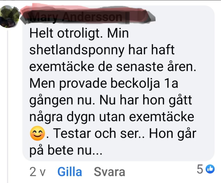 Beckolja-Hästar blanda ut till 4 liter spray fri frakt