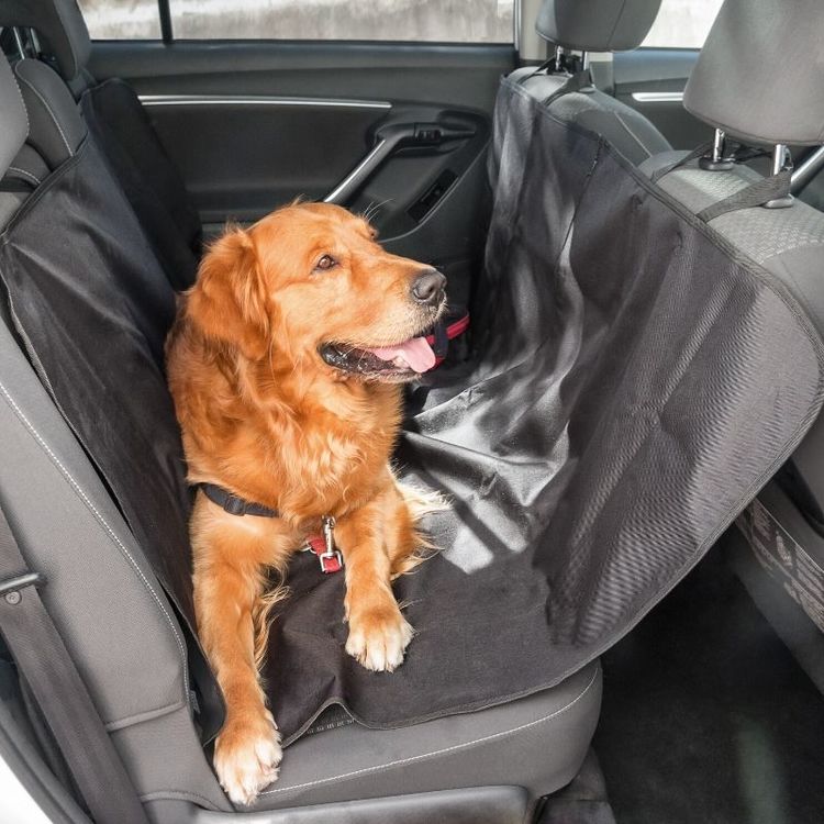 Bilskydd för husdjur