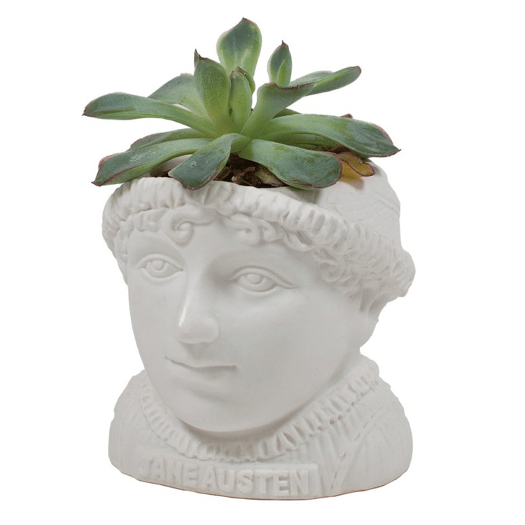 kaktus Kruka Jane Austen