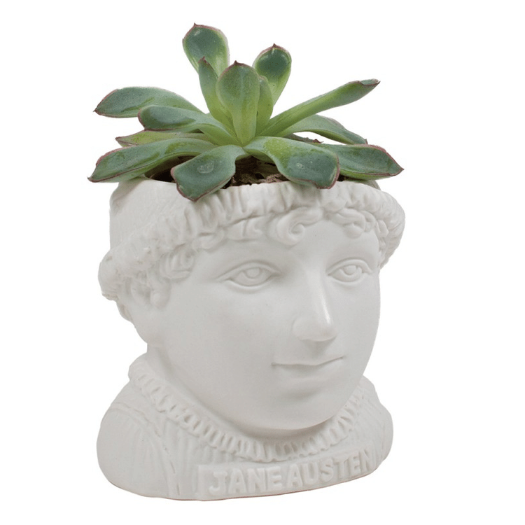 kaktus Kruka Jane Austen
