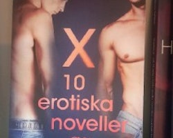 10 Erotiska Noveller