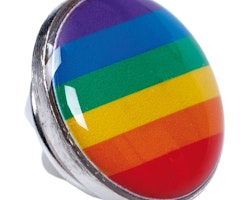 Rainbow Pins