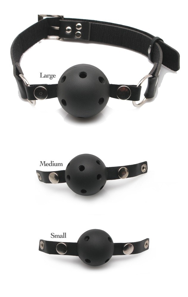 Ball Gag Training