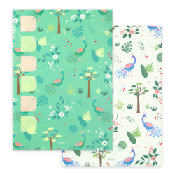Midori Index Clear Folder A4 Peacock (Pack of 2)