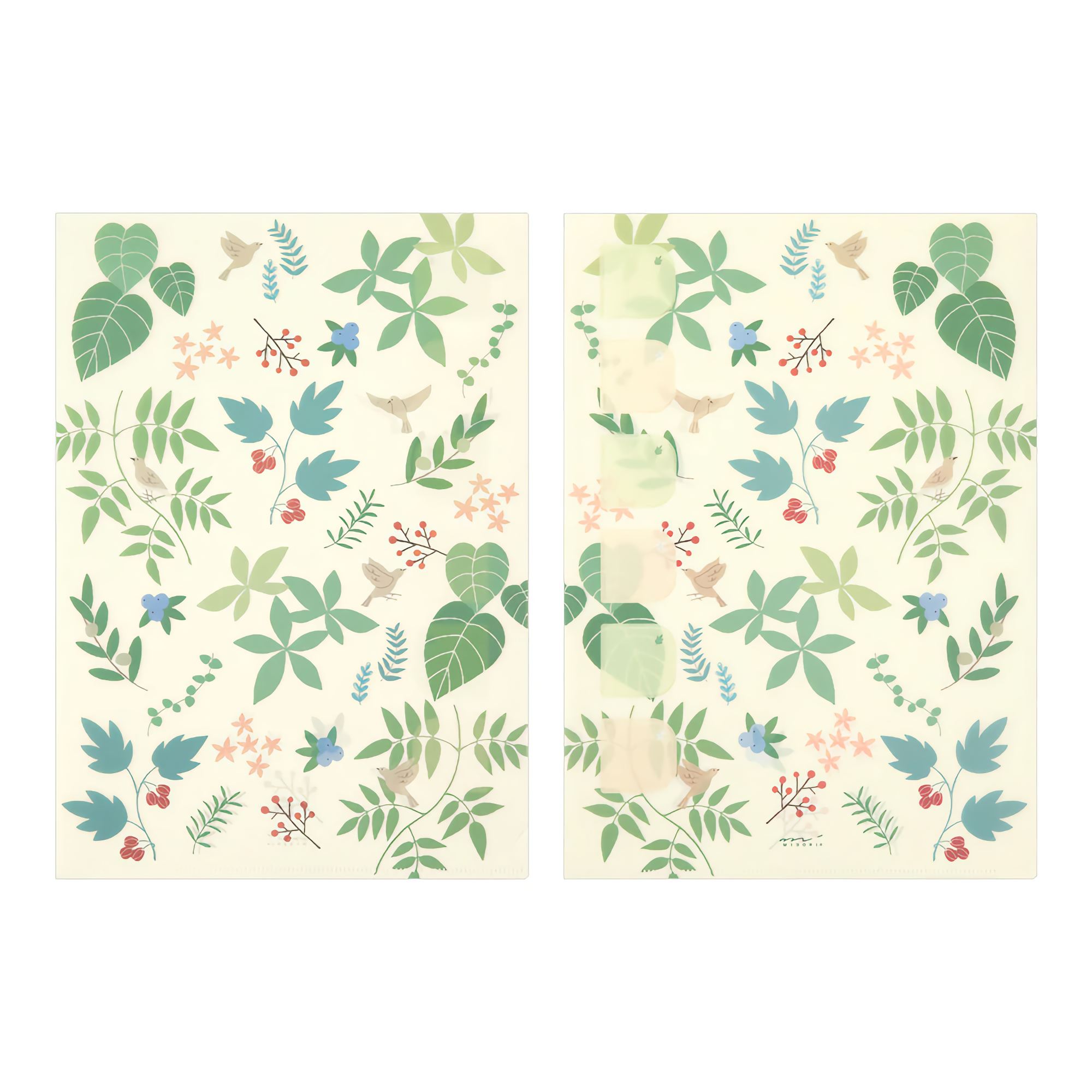 Midori Index Clear Folder A4 Plant (Pack of 2)