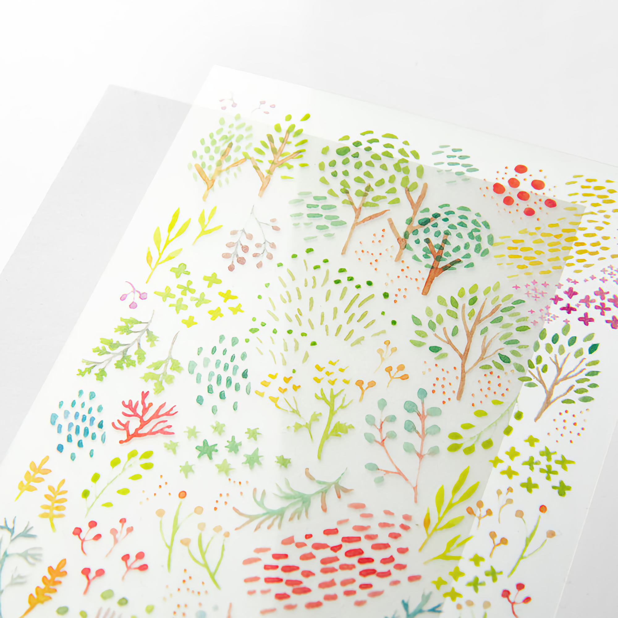 Midori Transfer Stickers Watercolor Patterns