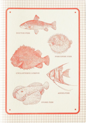 Kawachiya Fish Notebook