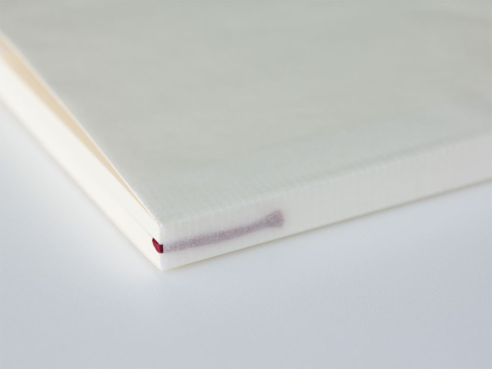 Midori MD Notebook [A4] Blank