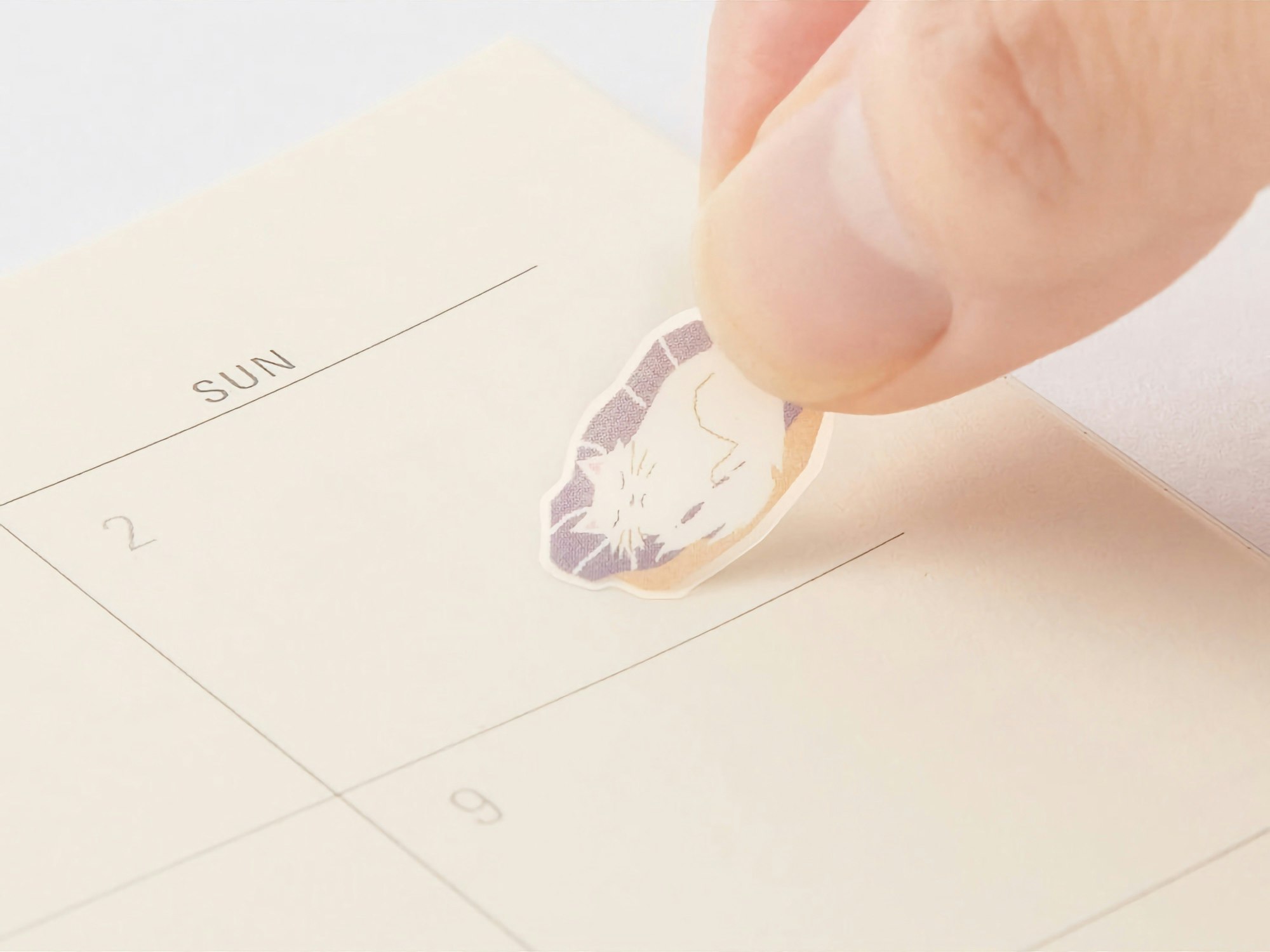 Midori 2023 Diary Sticker Color Lavender