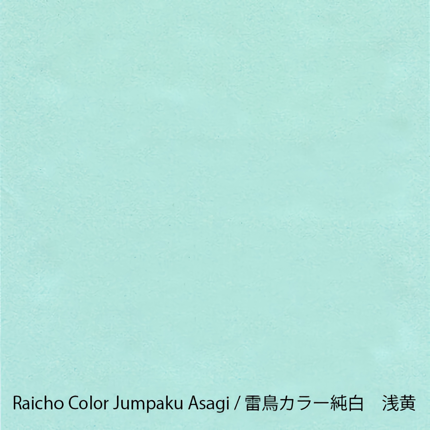 Yamamoto Paper Tasting Blue Vol. 2