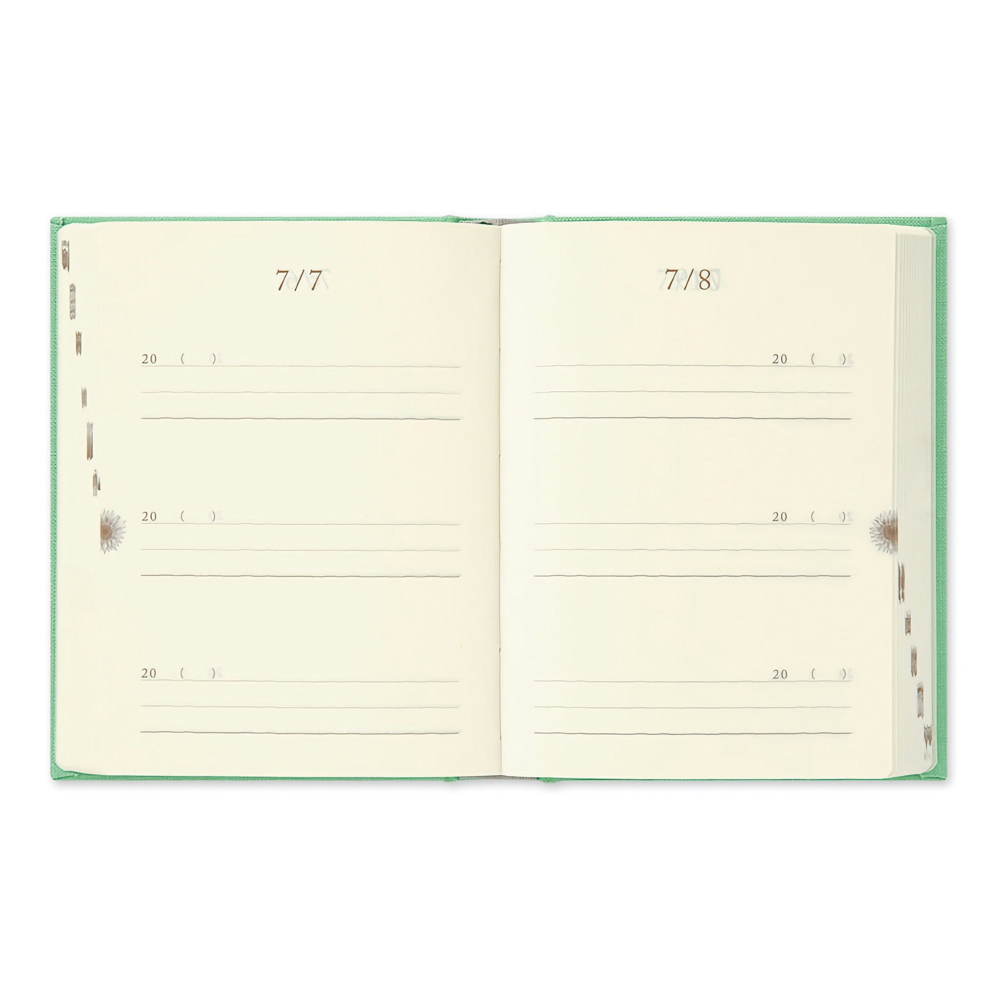 Midori 3 Years Diary Mini Green Limited Edition