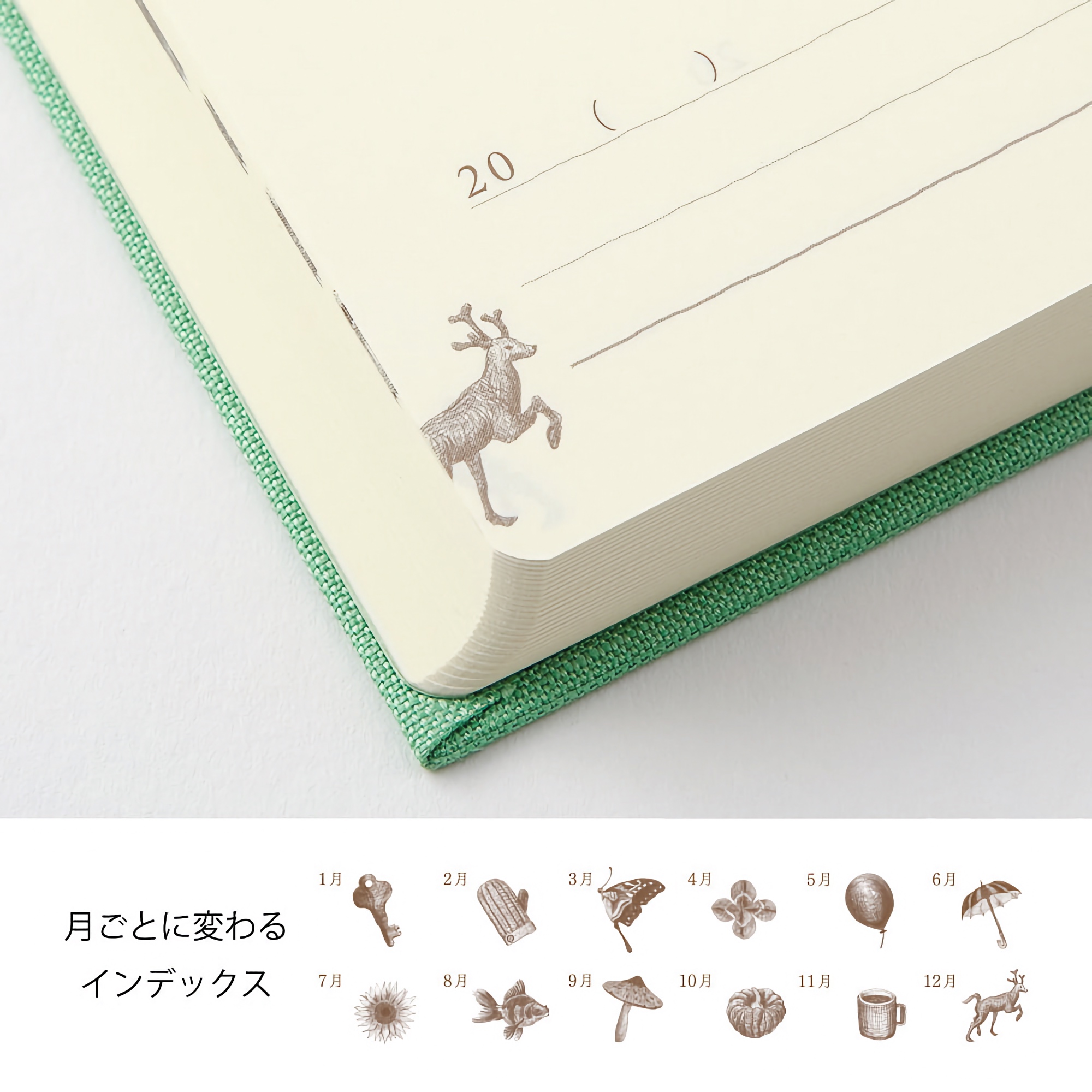Midori 3 Years Diary Mini Green Limited Edition