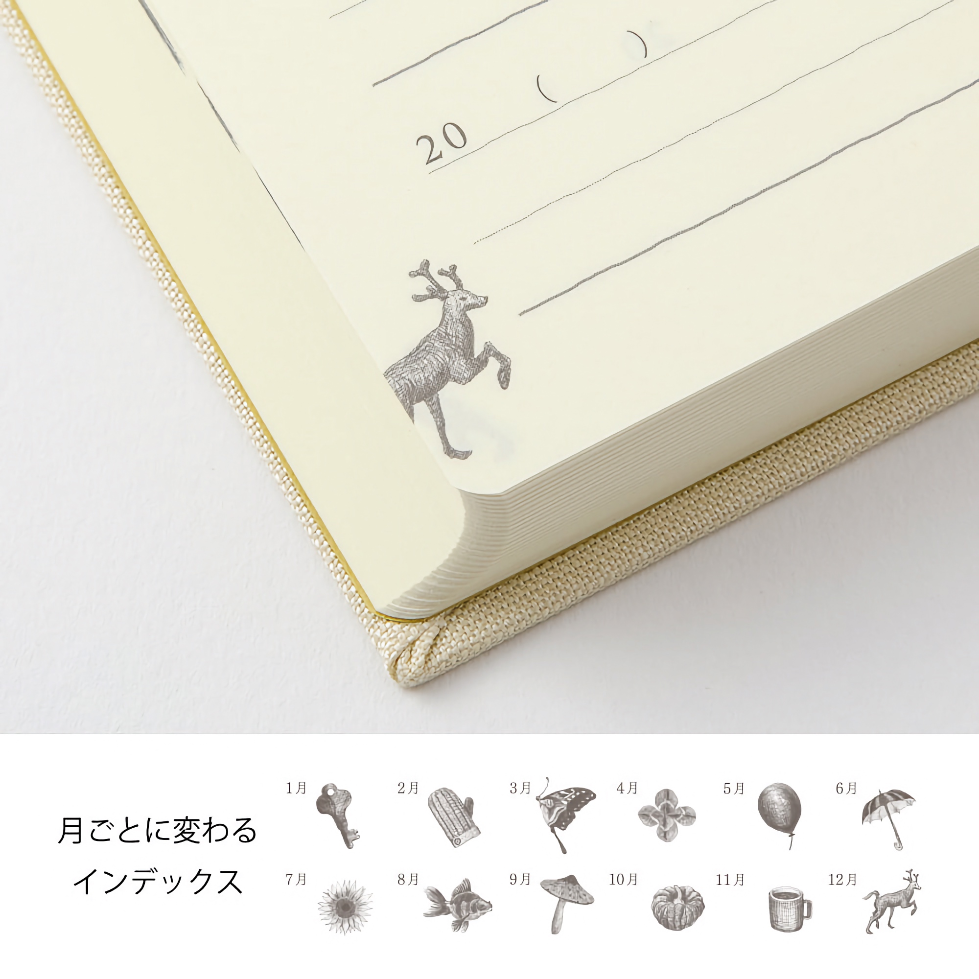 Midori 5 Years Diary Mini Beige Limited Edition