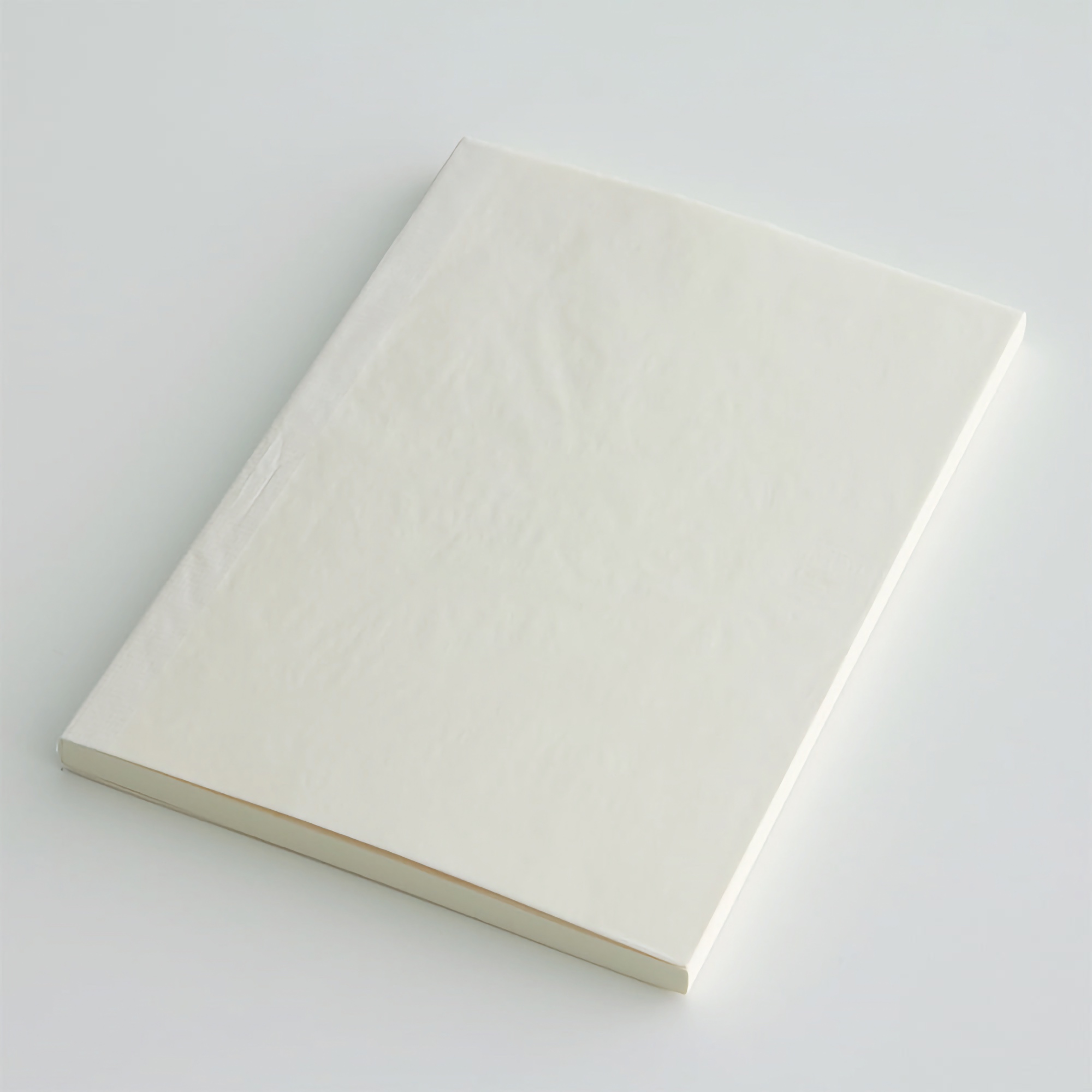 Midori MD Notebook [A5] Blank