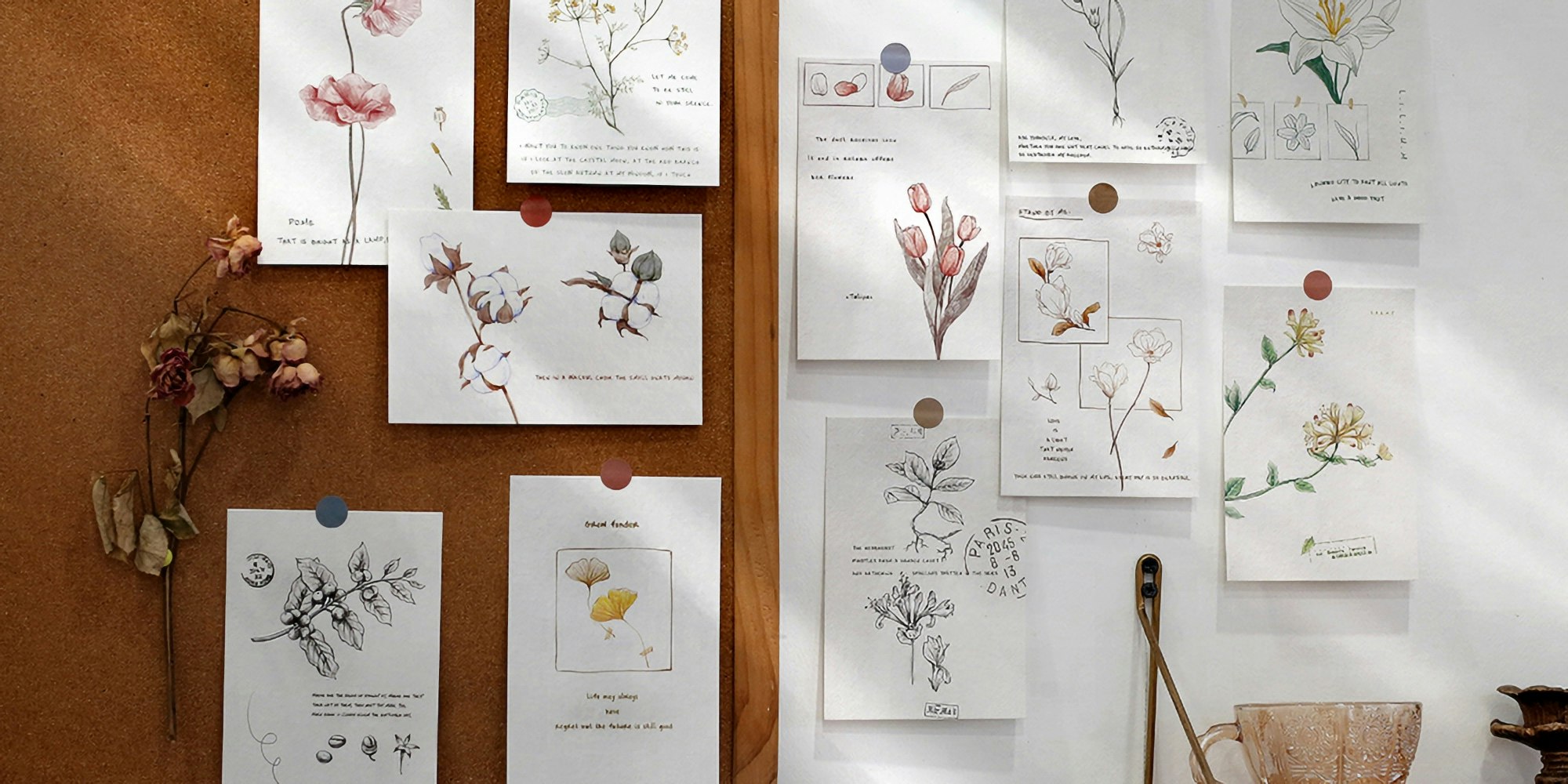 BGM Postcard Set Encyclopedia of Plants