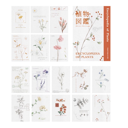BGM Postcard Set Encyclopedia of Plants
