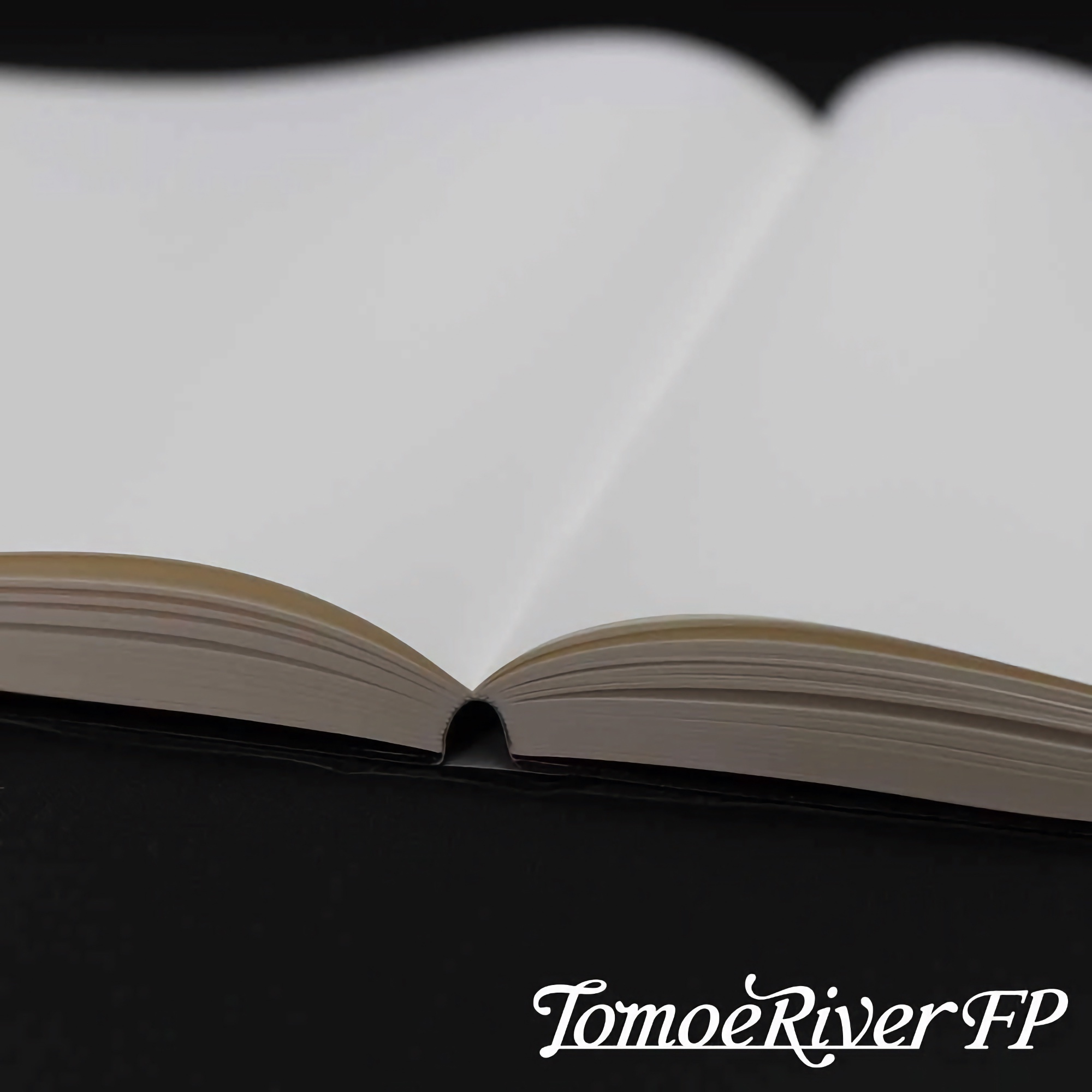 Sakae Tomoe River Hardcover Notebook A5 Blank