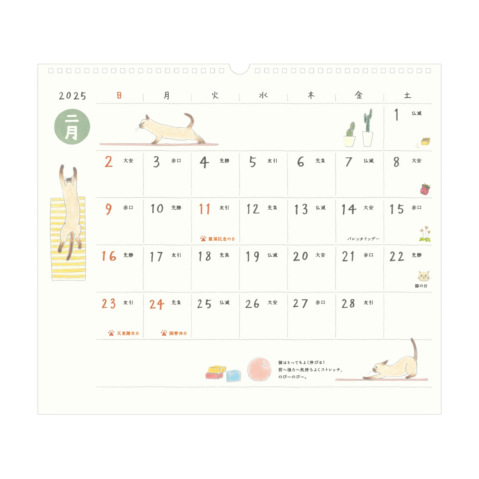 Midori Wall Calendar Cat 2025 L Komadori