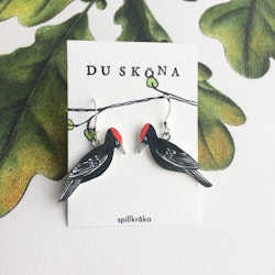 Spillkråka