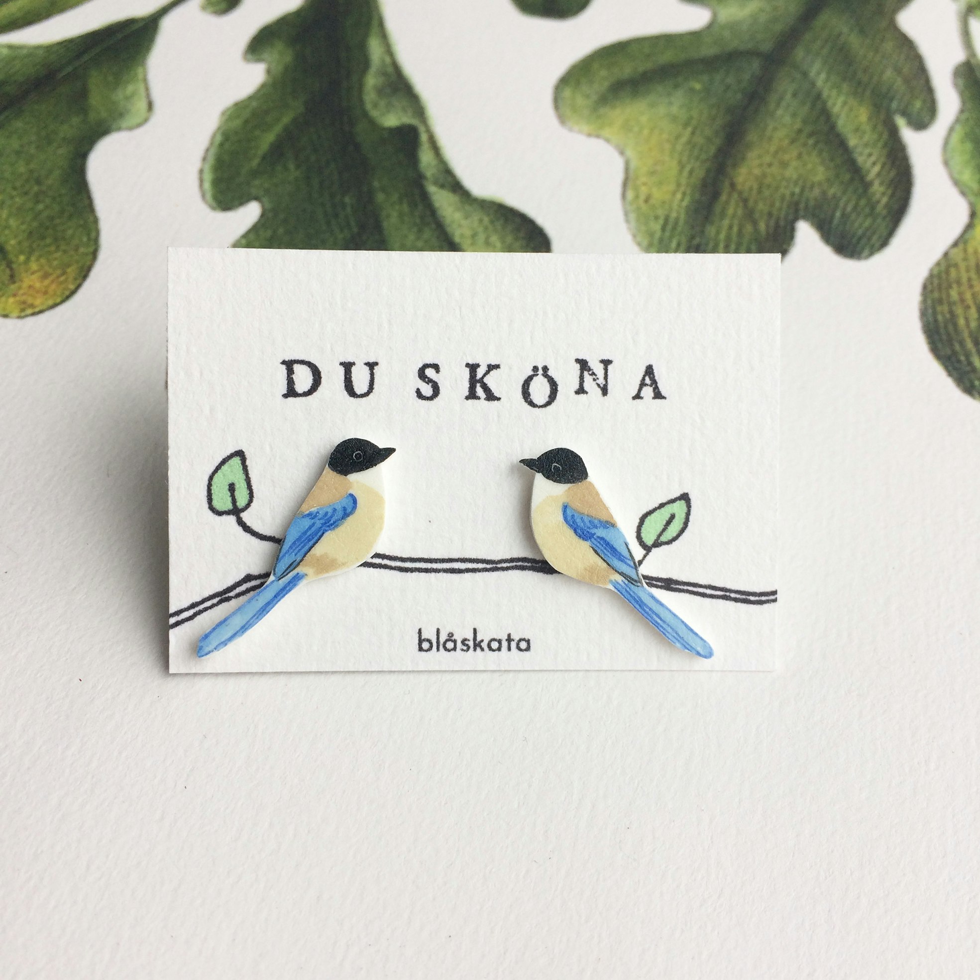Blåskata