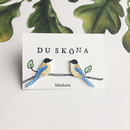 Blåskata