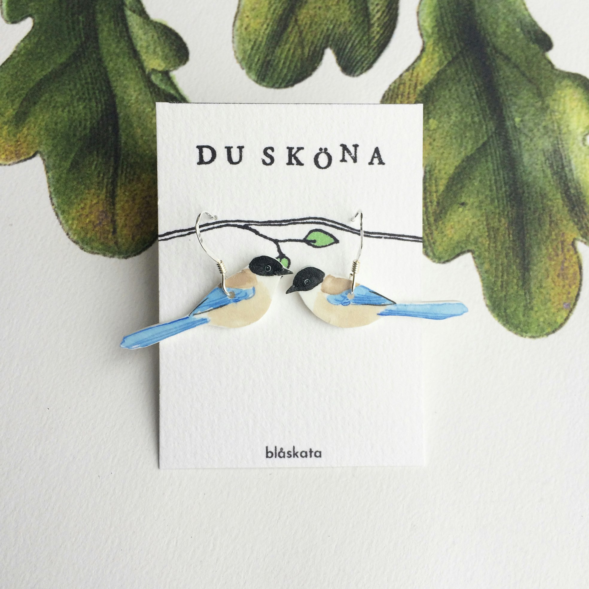 Blåskata