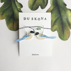 Blåskata