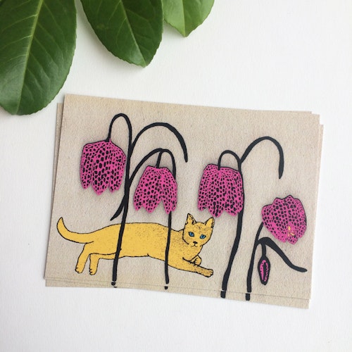 Kungsängslilja & katt