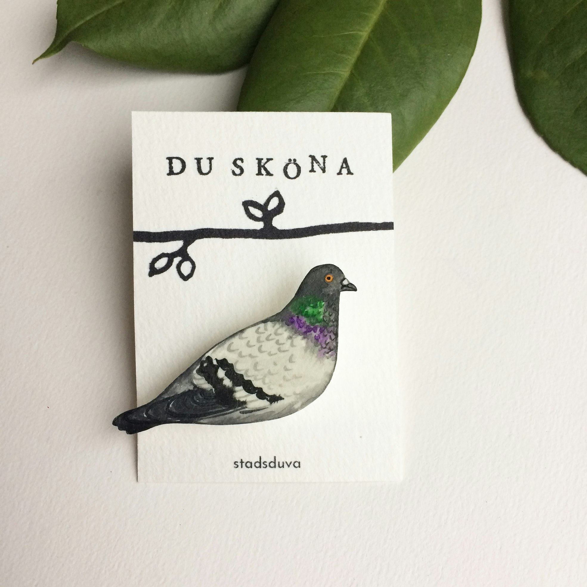 Duva, brosch
