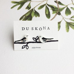 Stjärtmes