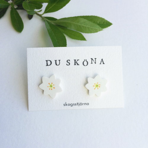Skogsstjärna