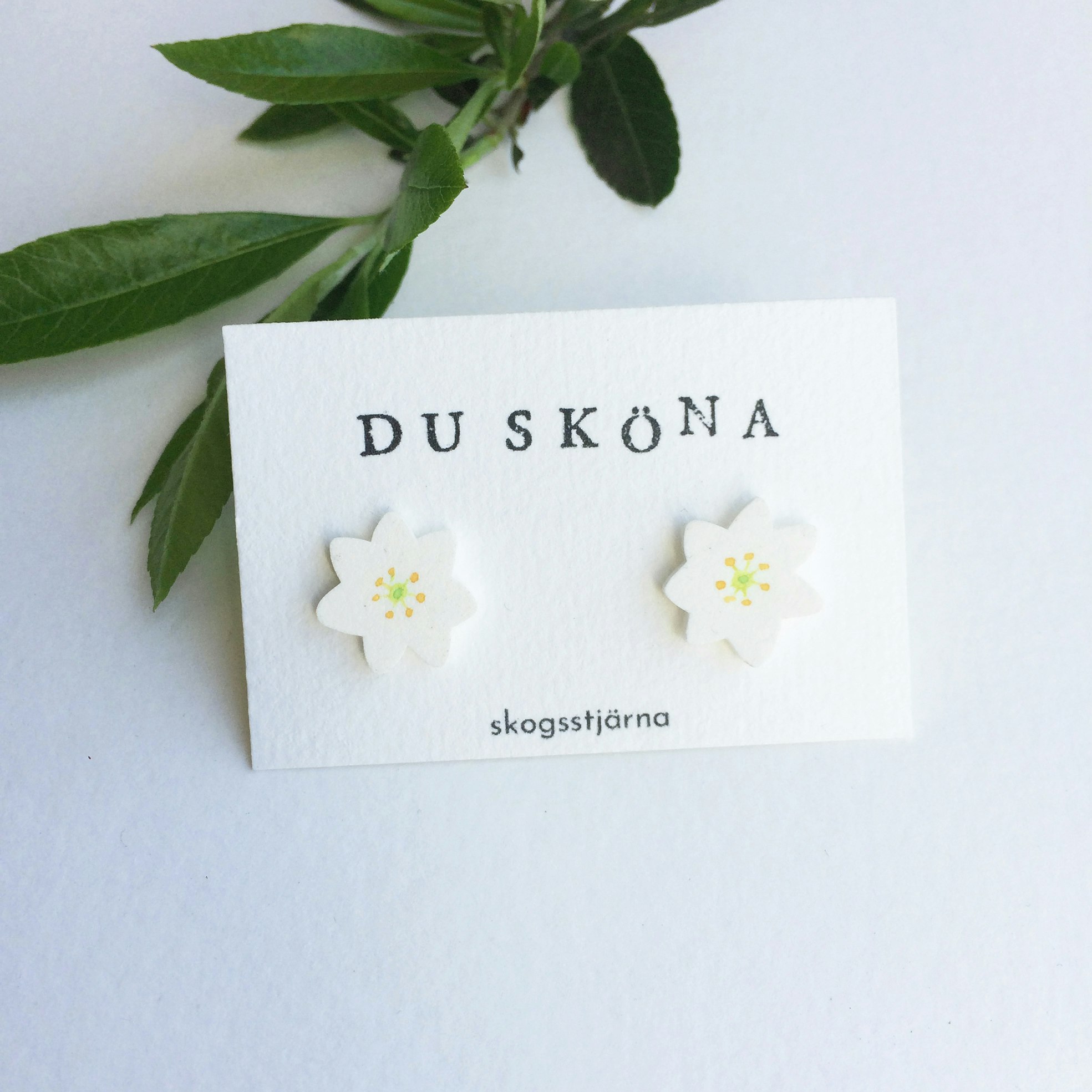 Skogsstjärna