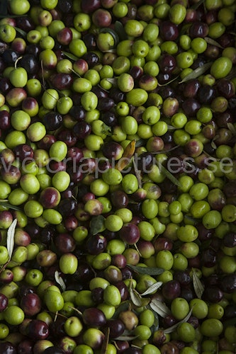 Olives