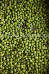Green olives