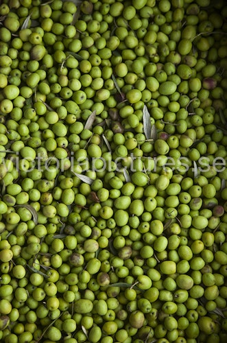 Olives green