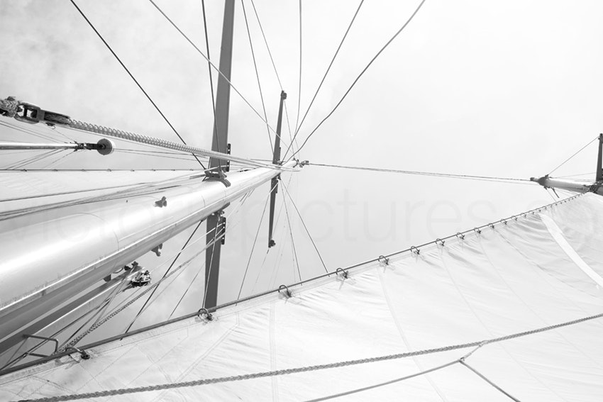 Sails