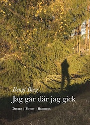 Jag går där jag gick/Bengt Berg