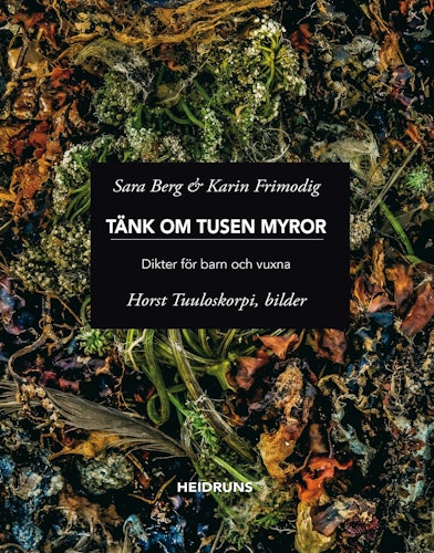Tänk om tusen myror