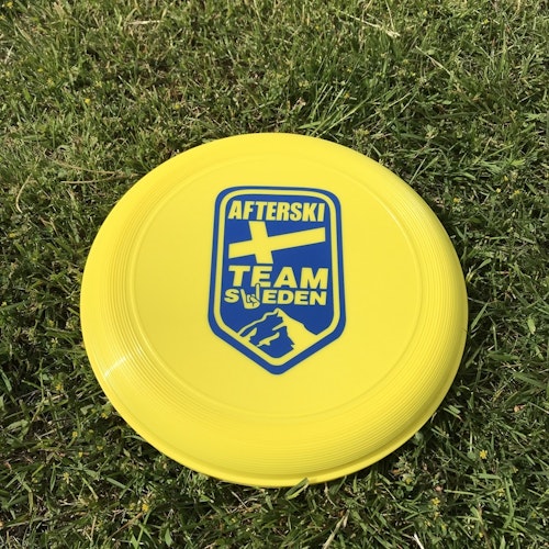 Frisbee - Summer Survival