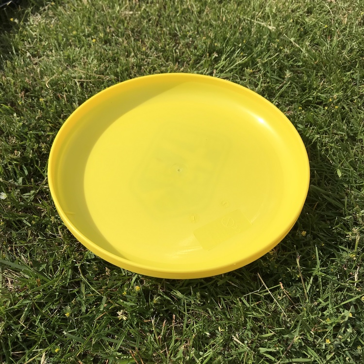 Frisbee - Summer Survival