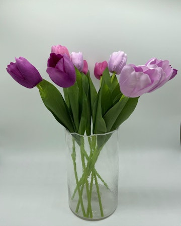 Vas Tulip
