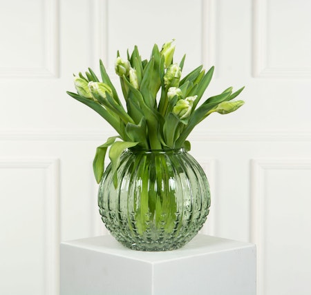 Vas Allium Grön