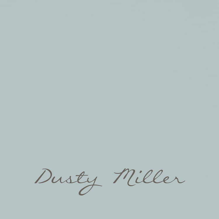 Dusty Miller 2,5 liter "Autentico Velvet"