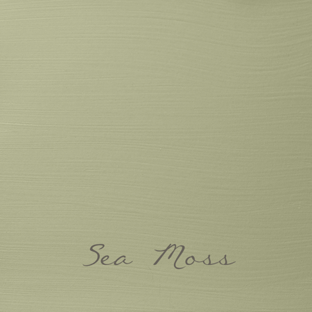 Sea Moss "Esterno Mura 5 liter"