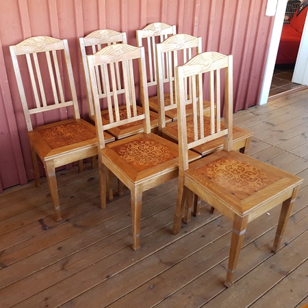 Ekstolar "Tåkern"